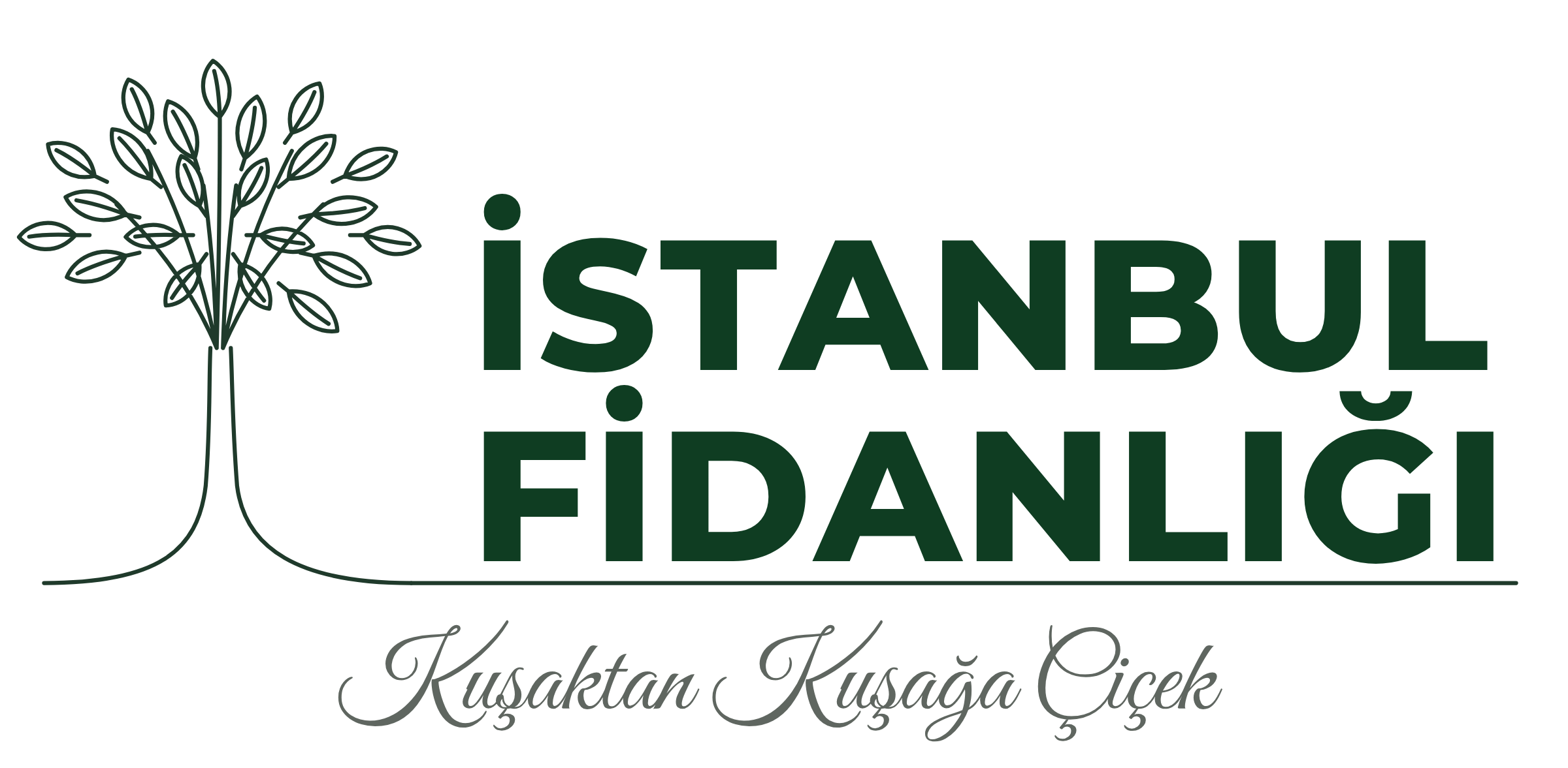 İstanbul Fidanlığı